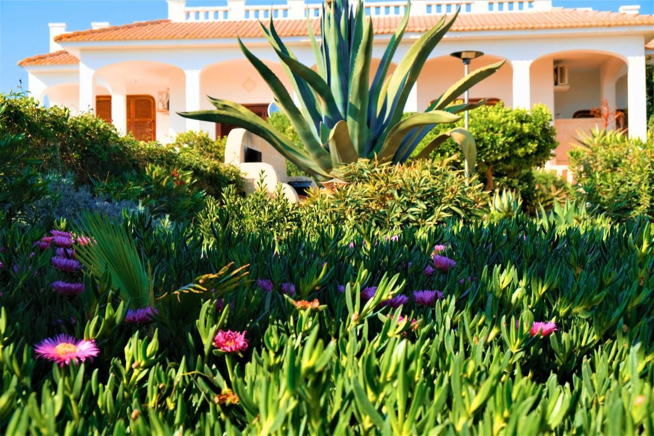 Villa Sette Nani Torre Lapillo Kültér fotó